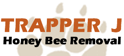 Trapper J Honey Bee Removal